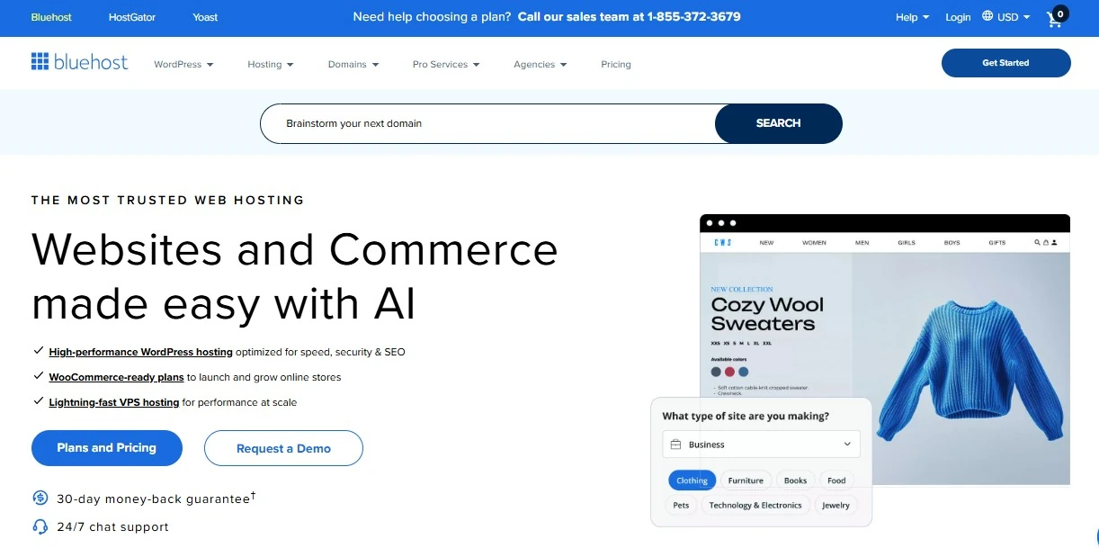 Bluehost Hosting Website